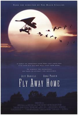 伴你高飛 Fly Away Home[電影解說]